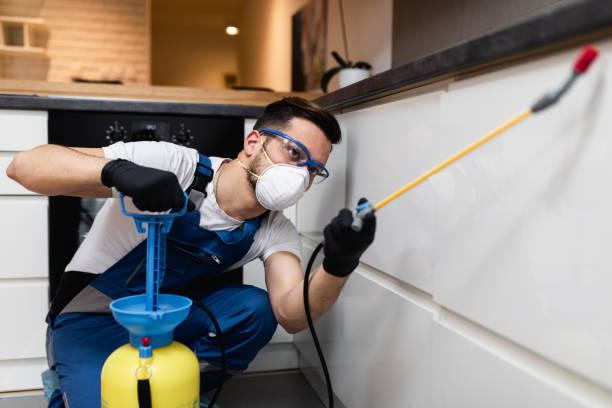 Best Pest Removal Services  in Avalon, NJ