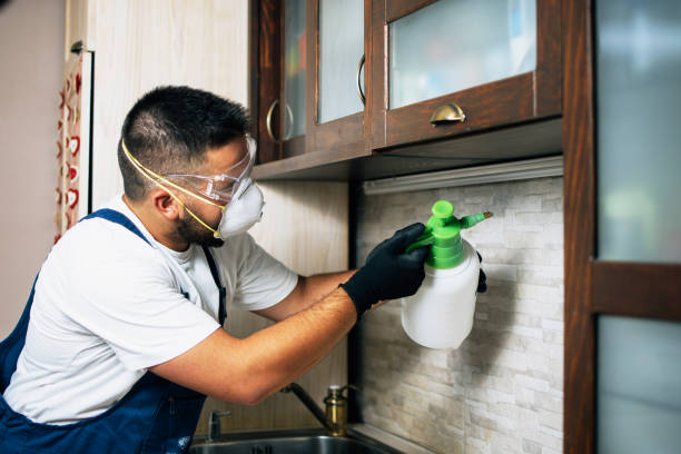 Best Insect Control  in Avalon, NJ