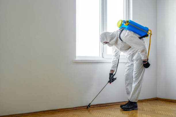 Best Local Pest Control Services  in Avalon, NJ