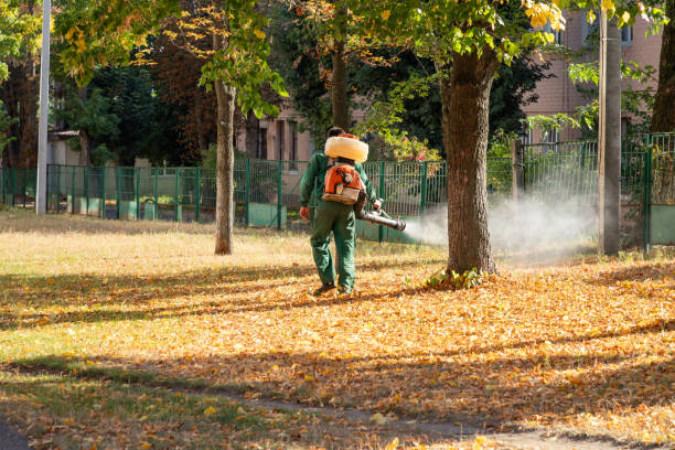 Best Wasp Removal Services  in Avalon, NJ