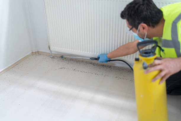 Wasp Removal Services in Avalon, NJ